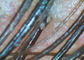 الجلد / الشعر نطاق الفحص منظار الأذن الفيديو الرقمي مع 200 مرات التكبير