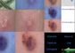 Dermatoscope للجلد وفروة الرأس للفيديو مع تقرير تحليلي لمرطبات زيت الرطوبة المرنة