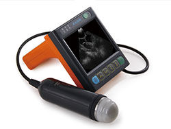 الموجات فوق الصوتية الطبية البيطرية الرقمية الماسح الضوئي مع شاشة 3.5 بوصة وتردد Porbe 2.5M ، 3.5M