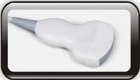 15 بوصة LED تشخيص الإنسان لون دوبلر آلة الموجات فوق الصوتية الماسح الضوئي مع اتصال 2 التحقيق