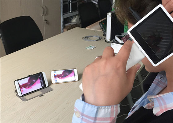 منظار الأذن الرقمي 720 × 480