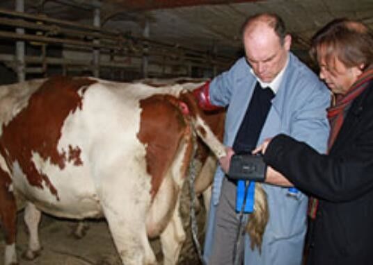 ماسح الموجات فوق الصوتية البيطري الرقمي